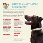 Country Brook Petz - Martingale Dog Collar - Heavy-Duty Training Collar with No Buckle - Service Dog Collar for All Pups - 10+ Warm Colors (Copper Gold, 5/8 Inch, Extra Small)