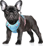 BARKBAY No Pull Dog Harness Large Reflective Dog Harness with Front Clip and Easy Control Handle for Walking Training Running with ID tag Pocket(Baby Blue & Baby Pink,S)