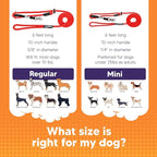 Heather's Heroes The Sidekick No-Pull Leash, Red, Mini