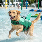 ASENKU Dog Life Jacket - Pet Safety Vest for Swimming & Boating, Shark Life Jacket with Floatation, Dog Lifesavers Swimsuits for Small Medium Large Dogs (MintMix, 2XL)