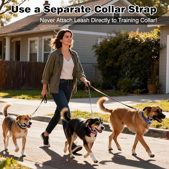 PetJoy Shock Collar Replacement Strap, Dog Replacement Collar with D-Ring, 2 Pack Adjustable Nylon Dog Collar Strap, Pet Safe & Durable for Training Collars