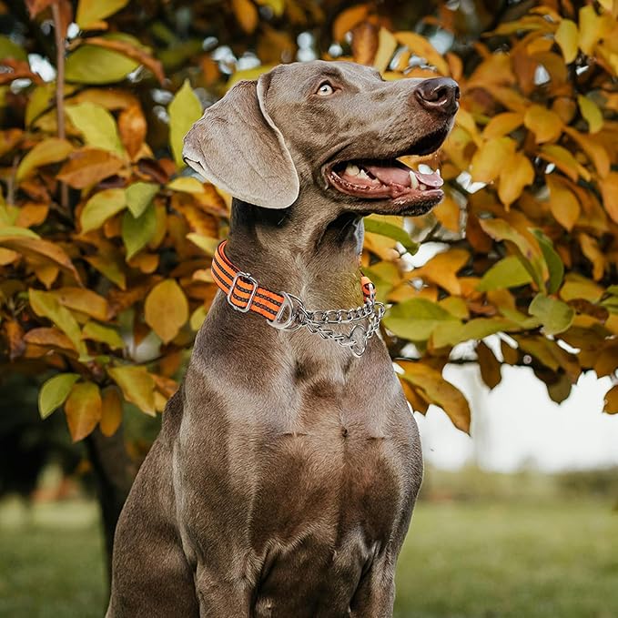 No-Pull Martingale Dog Collar for Medium Large Extra Large and XXL Dogs- Reflective Padded Strap & Durable Chain, Anti-Escape Design for Safe Walks & Training(Orange L)