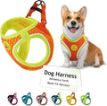 DOCO Dog Harness for Large Sized Dog - Athletica Adjustable, No Pull, No Choke, Puppy Vest Lightweight Air Mesh, Reflective, Puppy Essentials - Orange, Medium (Chest 16"-17", Weight 10-15 lbs)