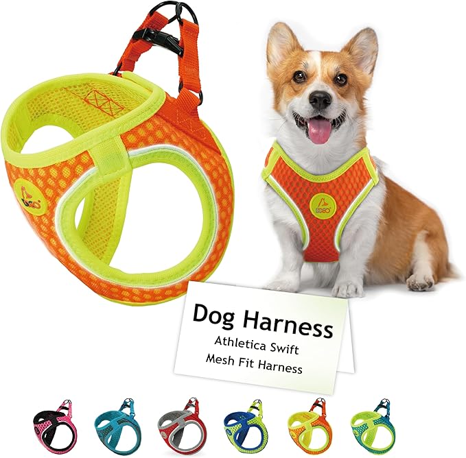 DOCO Dog Harness for Large Sized Dog - Athletica Adjustable, No Pull, No Choke, Puppy Vest Lightweight Air Mesh, Reflective, Puppy Essentials - Orange, Medium (Chest 16"-17", Weight 10-15 lbs)