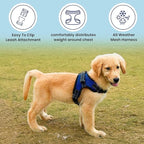 No Pull Reflective Adjustable Dog Harness with Handle- Comfortable Soft All Weather Mesh, Easy On Puppy Harness for Small Medium and Large Dogs (Blue) Large