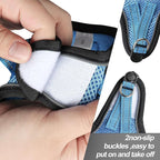 Dog Harness for Small Dogs and Leash Set, Honeycomb Grid, Reflective Lightweight Harness & Anti-Twist Pet Lead Multi Color, Size: XS-S-M. (XS, Marine Blue)