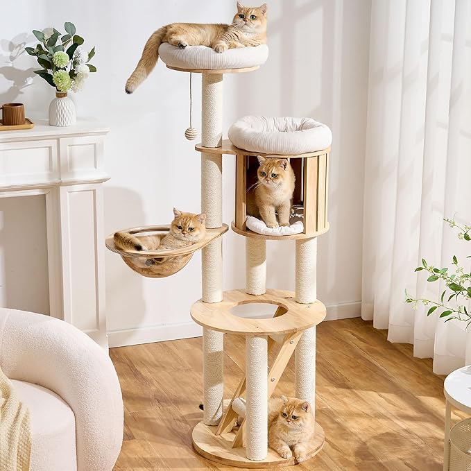 797Audio Wood Modern Cat Tree, 61.5" Tall Cat Tower with Sisal Scratching Posts, Cat Condo, Capsule and Ladder, Solid Wooden Aesthetic Multi-Level Cat Climbing Tree for Large Adult Indoor Cats