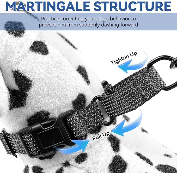 Martingale Dog Collars Adjustable Training Martingale Collar for Dogs - Reflective No Pull Dog Collar with Quick Release Buckle(Green, Large)