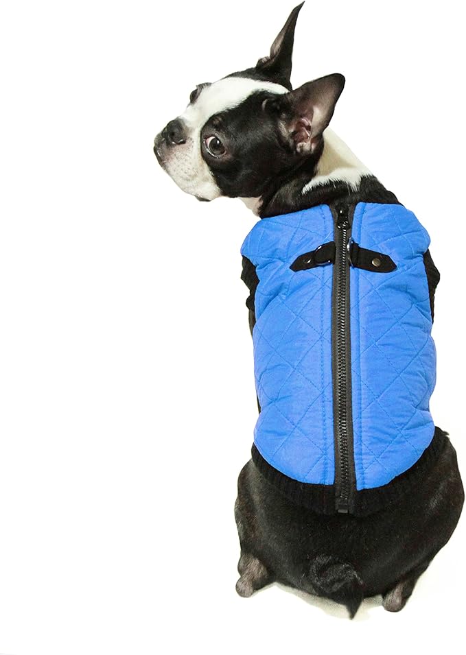 Gooby Fashion Vest Dog Jacket - Blue, Large - Warm Zip Up Bomber Vest with Dual D Ring Leash - Winter Water Resistant Small Dog Sweater