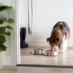 Amazon Basics Stainless Steel Non-Skid Dog Water And Food Bowls, Dishwasher Safe, Rust Resistant, 38oz Capacity, 10 x 2.8 Inches, 2-Pack