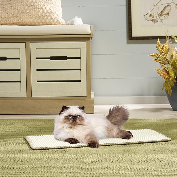 SAFAVIEH Cat Scratch Mat Pad Collection, 16" x 24", Ivory, Sisal & Jute Boucle Weave, Velcro & Slip Resistant Backing