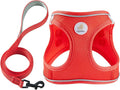 Hipubby Dog Harness and Leash Set, No Pull Soft Mesh Puppy Harness for Small Medium Dogs, Cats - Step in Reflective Breathable Lightweight Vest Harness for Walking, Training - Red, XS