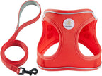 Hipubby Dog Harness and Leash Set, No Pull Soft Mesh Puppy Harness for Small Medium Dogs, Cats - Step in Reflective Breathable Lightweight Vest Harness for Walking, Training - Red, XS