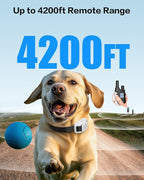 Jugbow Dog Shock Collar - 4200FT Dog Training Collar with Remote for Small Medium Large Dogs, LED Light Electric Collar, IPX8 Waterproof Rechargeable E-Collar (Grey)