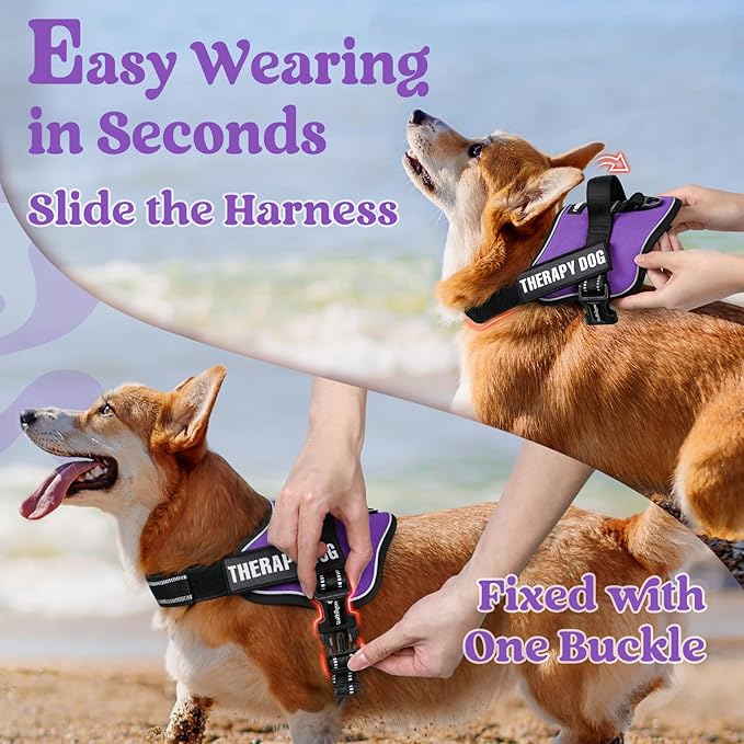 rabbitgoo Dog Harness Small Sized, No Pull No Choke Pet Vest, Easy Wearing with One Buckle, Reflective, Adjustable Pet Harness with Molle for Walking, Training, Purple, S