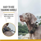 OneTigris Tough Dog Collars, Tactical Dog Collar with Handle, Milltary Adjustable Dog Collar with Heavy Duty Metal Buckle for Training (Large(Pack of 1), Green)