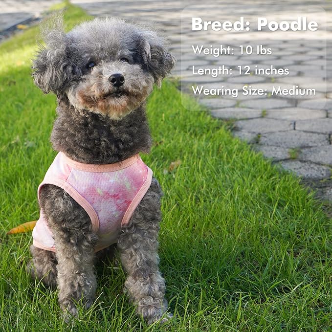 cyeollo 2pack Dog Cooling Shirt, Breathable Sleeveless Summer Clothes for Dogs, Intant Cool T Shirts for Small Dogs, Pink XL