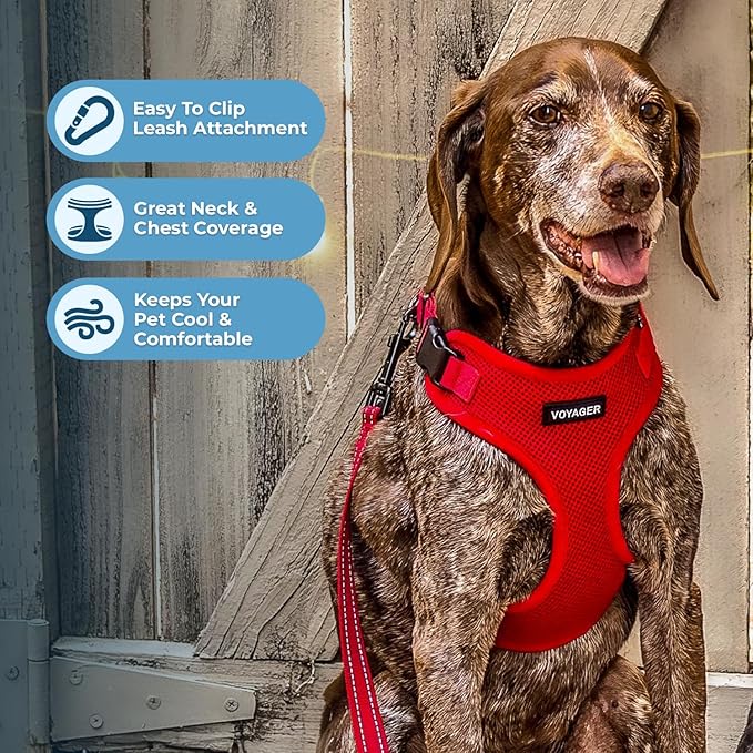 Voyager Step-in Pet Harness - All Weather Mesh, Adjustable Step in Harness for Cats and Dogs by Best Pet Supplies - Red, XS