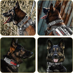 OneTigris Tough Dog Collars, Tactical Dog Collar with Handle, Milltary Adjustable Dog Collar with Heavy Duty Metal Buckle for Training (Large,Gray)