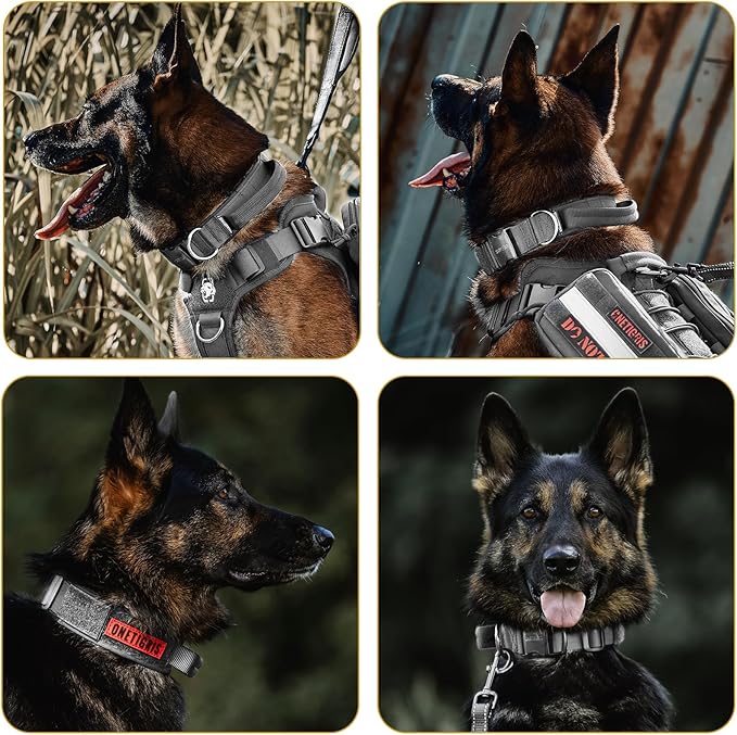 OneTigris Tough Dog Collars, Tactical Dog Collar with Handle, Milltary Adjustable Dog Collar with Heavy Duty Metal Buckle for Training (Medium,Gray)
