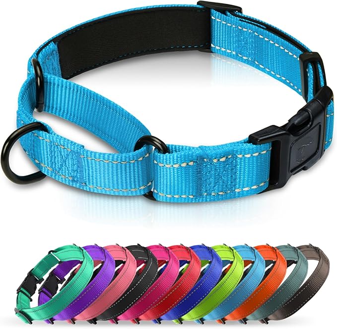 Martingale Collar for Dogs with Quick Release Buckle, Reflective Soft Padded & Escape Proof, Adjustable Nylon Dog Collars for Training & Daily Walking (Aqua Blue,XS)