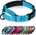 Martingale Collar for Dogs with Quick Release Buckle, Reflective Soft Padded & Escape Proof, Adjustable Nylon Dog Collars for Training & Daily Walking (Aqua Blue,M)