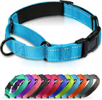 Martingale Collar for Dogs with Quick Release Buckle, Reflective Soft Padded & Escape Proof, Adjustable Nylon Dog Collars for Training & Daily Walking (Aqua Blue,M)