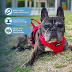 Best Pet Supplies Voyager Adjustable Step-in Flex Breathable Mesh Dog Harness for Small Medium Large Dogs (Red), XL