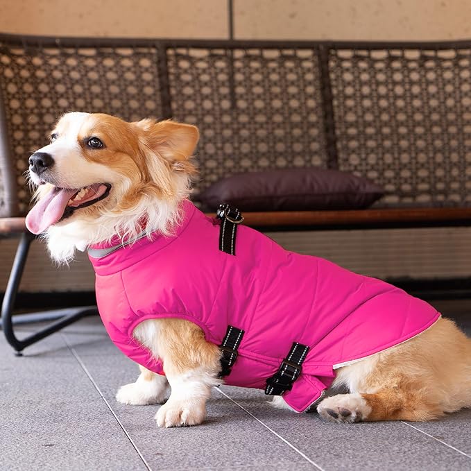 Mklhgty Small Dog Coat with Harness Built-in, Waterproof Reflective Fleece Lined - Warm Windproof Winter Jacket with Back Zipper, Cold Weather Snow Dog Coats - Pink - XS