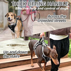PUPTECK Escape Proof Dog Harness with Padded Handle, No Pull Pet Vest Harness Durable Reflective for Medium Large Dogs Walking Training and Running, Black, M