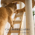 797Audio Morden Solid Wood Cat Tree Tower, 49" Tall Cat Tree with Sisal Scratching Posts and Ladder for Adult Cats, Natural Oak Wooden Cat Tower, Aesthetic Multi-Level Cat Climbing Tree for Indoor Cat