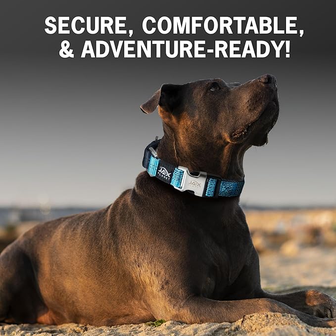 Orange Martingale Collar for Dogs - Heavy Duty Nylon Pet Collars for Escape-free, No Pull Training & Walking with Alloy Metal Release Buckle & Reflective D Ring, One Time Adjustment, Safe & Secure, XL