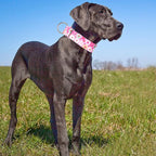 1.5 Inch Wide Martingale Dog Collar - No Pull Choke Cinch Escape Proof Training for Large Dogs, Soft Nylon Durable Collar for Walking, Running & Training for Large Breeds -Pink L