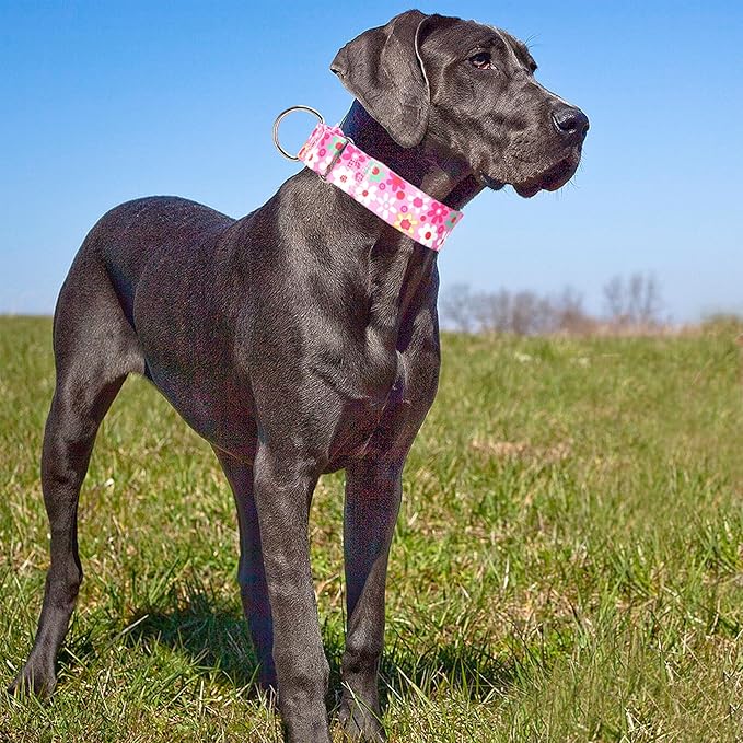 1.5 Inch Wide Martingale Dog Collar - No Pull Choke Cinch Escape Proof Training for Large Dogs, Soft Nylon Durable Collar for Walking, Running & Training for Large Breeds -Pink XL