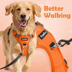 Funfox Dog Harness No Pull, Adjustable Pet Vest Harness, Super Soft Material with Vertical Handle Easy Control, Reflective Night Walking, 2 Leash Clips for Medium Sized Dogs, Orange, M