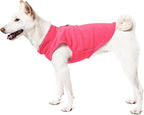 Gooby Fleece Vest Dog Sweater - Pink, X-Small - Warm Pullover Fleece Dog Jacket with O-Ring Leash - Winter Small Dog Sweater Coat - Cold Weather Dog Clothes for Small Dogs Boy or Girl (Pack of 2)