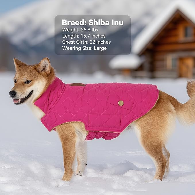 Dog Winter Coat, Warm Dog Jacket Windproof Waterproof Pet Cold Weather Coats for Small Dogs, Turtleneck Fleece Lined Dogs Clothes with Leash Hole, Rose Red Medium