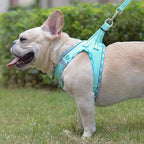 Mercano Soft Mesh Dog Harness and Leash Set, No-Chock Step-in Reflective Breathable Lightweight Easy Walk Vest Harnesses with Safety Buckle for Small Dogs, Cats (Light Green, XXS)