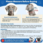 BARKLESS No Pull Dog Head Collar for Gentle Training Walking, Soft Padded Head Halter with Collar Safety Clip, Comfortable Fit Muzzle Leash with Reflective Strap for Medium Large Dog (Blue, M)