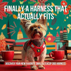 EcoBark Step in Dog Harness - Eco-Friendly Teacup Dog Harnesses for XXS, XS, and Small Dogs - Reflective and Adjustable Mini Body Halter Vest -Tiny Soft Mesh Toy Breed Harness (Red, XXXS)
