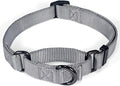Premium Nylon Adjustable Anti-Escape Martingale Dog Collars,Sturdy,Comfort and Silky Dog Collar for Large Dogs Walking,Training,etc... (Ultimate Grey, Large)