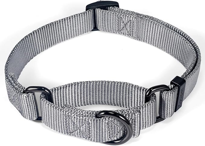 Premium Nylon Adjustable Anti-Escape Martingale Dog Collars,Sturdy,Comfort and Silky Dog Collar for Large Dogs Walking,Training,etc... (Ultimate Grey, Large)