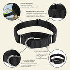 Country Brook Petz - Martingale Dog Collar - Heavy-Duty Training Collar with No Buckle - Service Dog Collar for All Pups - 10+ Cool Colors (Black, 1 Inch, Large)