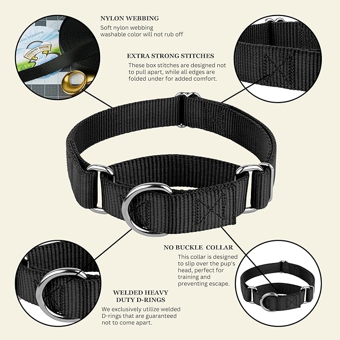 Country Brook Petz - Martingale Dog Collar - Heavy-Duty Training Collar with No Buckle - Service Dog Collar for All Pups - 10+ Cool Colors (Black, 1 Inch, Large)