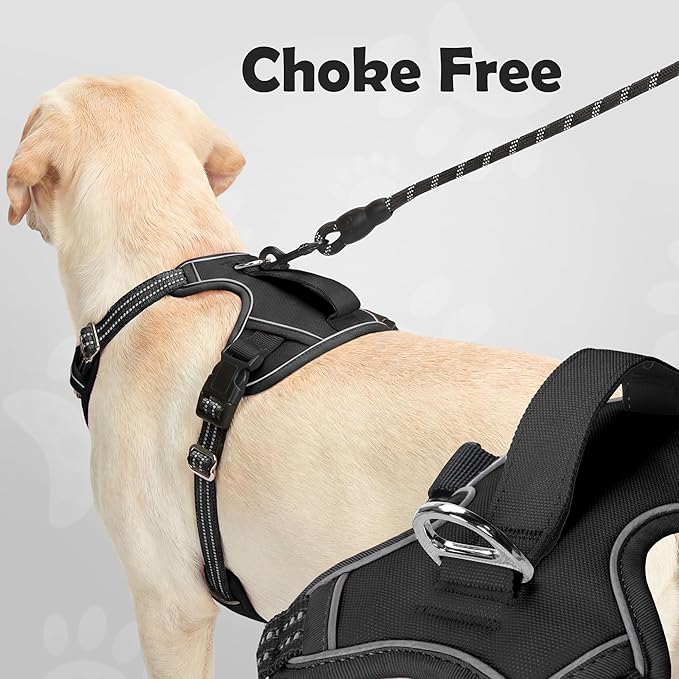 Funfox Dog Harness Medium Sized Dog, Vertical Handle Easy Control, No Pull Pet Vest Adjustable with 2 Leash Clips, Soft Material, Reflective Safe Night Walking for Small Medium Large Breed, Black, M
