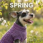 Dog Warm Winter Sweater Pet Clothes Knitwear for Medium Dog for Corgi, West Highland,Schnauzer,Border Collie,Dog Outfits (Purple XL)