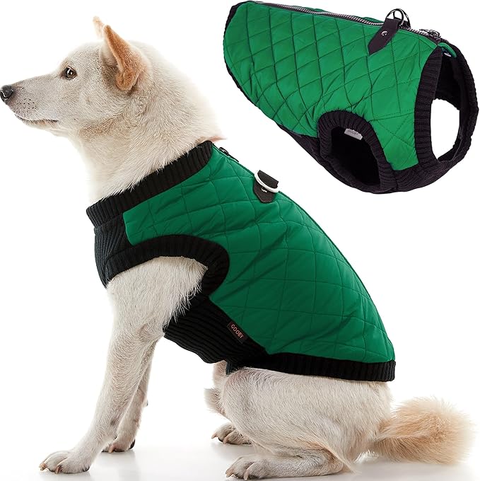 Gooby Fashion Vest Dog Jacket - Green, Large - Warm Zip Up Dog Bomber Vest with Dual D Ring Leash Water Resistant for Small to Medium Dogs