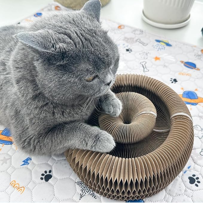 Magic Accordion Cat Scratching Board - Interactive Toy for Bored Indoor Cats, for Indoor catscat Toys for Scratching Fun & Durable Cat Toys 2Pack