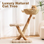 HITTITE Natural Solid Wood Cat Tree Tower with Scratching Post, 32 Inches Tall Modern Cat Tower with Rattan Bed and Platforms, Luxury Real Branch Cat Tree for Indoor Cats Large Adult, Khaki.