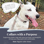 Lucky Love Dog Martingale Dog Collar - Adjustable, No-Slip, Durable, & Soft Webbing Collar for Male and Female Dogs Ideal for Training & Walking - in Unique Pongo Pattern, Large Size